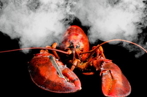 180918-marijuana-smoke-lobsters-feature-1